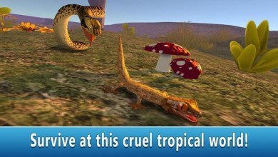 Скачать Lizard Simulator 3D [ВЗЛОМ: много денег] v 1.0 для Андроид