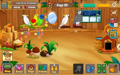 Bird Land: птичка и зоомагазин screenshot №3