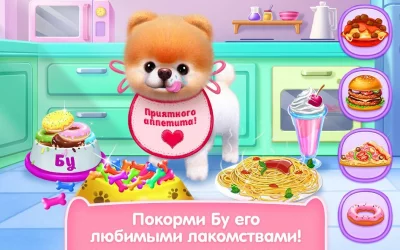 Бу - Самая милая собачка! screenshot №8
